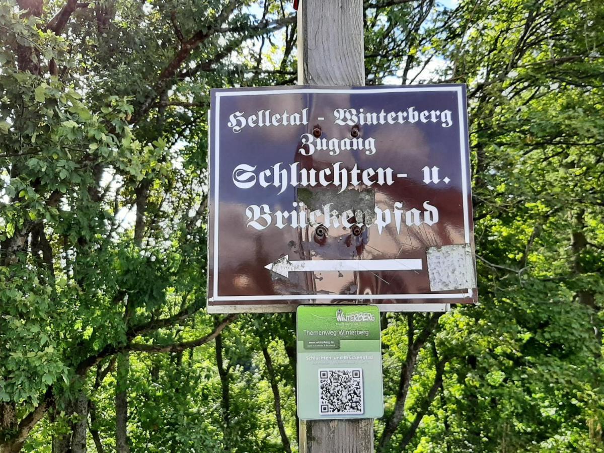 Ferienwohnung Zeitlos, Gigantischer Seeblick, Wlan, Gerne Mit Hund 温特贝格 外观 照片